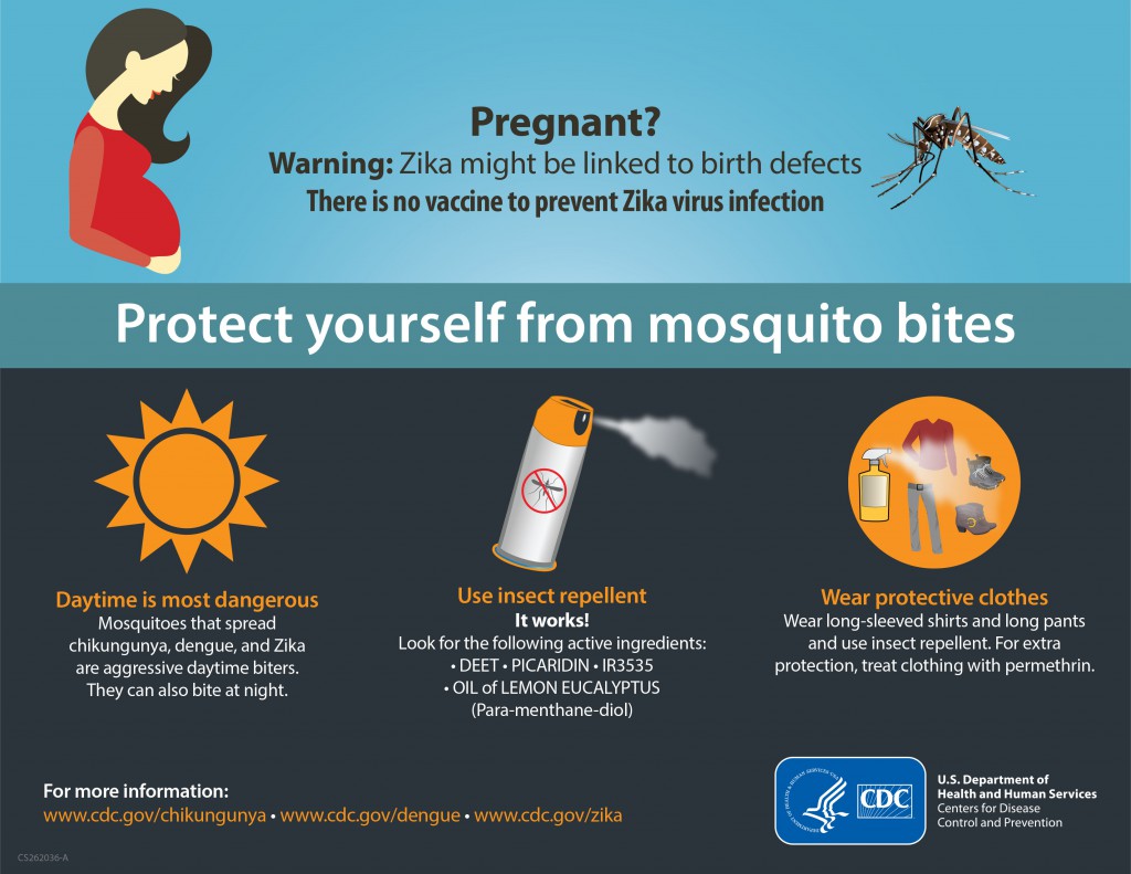 Pregnant? Warning: Zika might be linked to birth defects