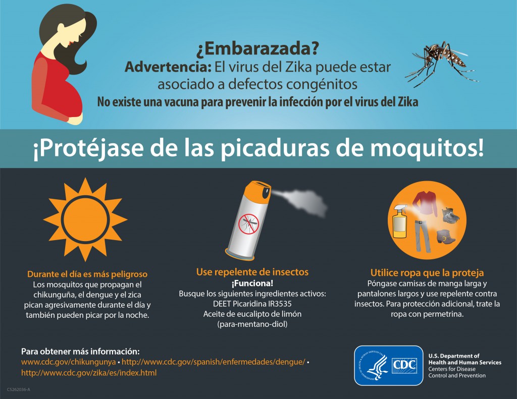 ¿Embarazada? Advertencia: El virus del Zika puede estar asociad
