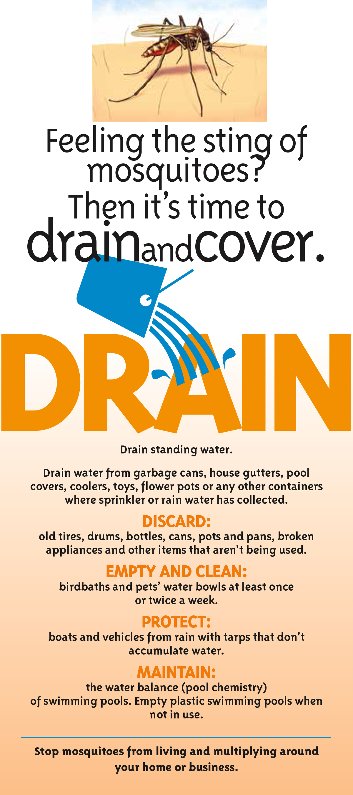 drain-and-cover-eng-1