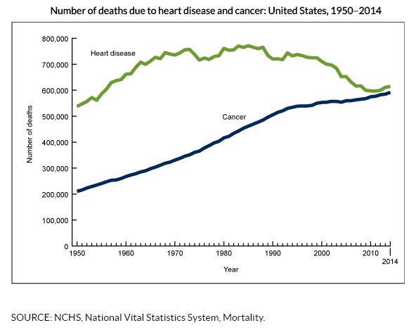 Causes of Death Chart