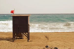 beach, red tide