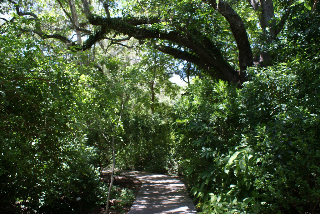 Butterfly Garden view