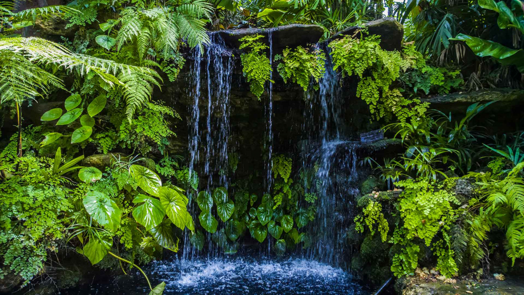 Moose Sunken Garden