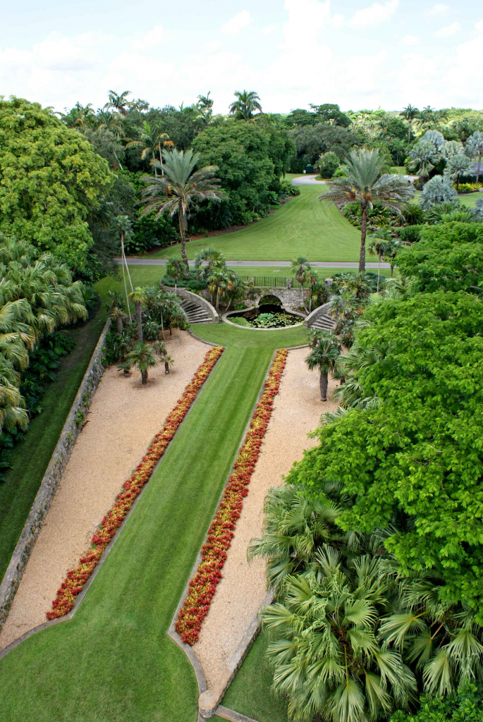 Bailey Palm at Fairchild Glade