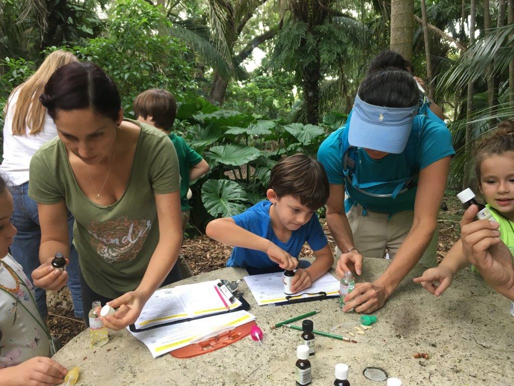 Classes for Adults Kids and Family at Fairchild 8