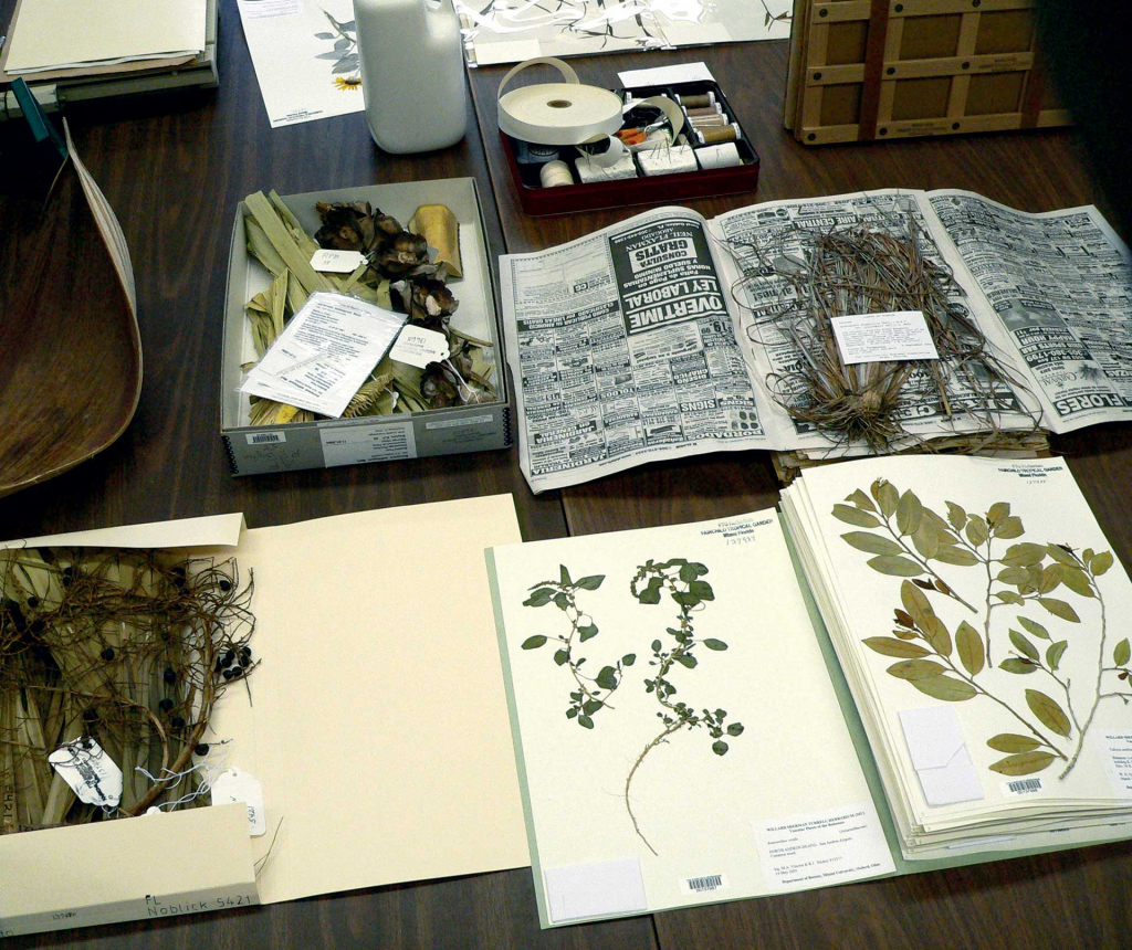 Herbarium