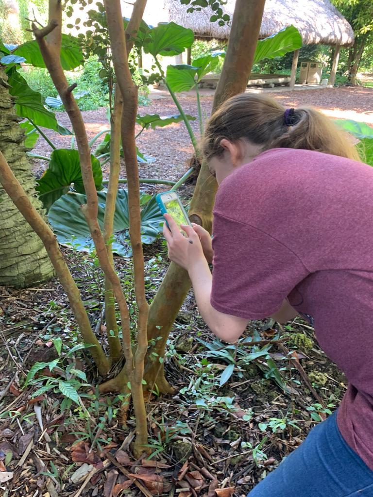 Home School Workshops at Fairchild