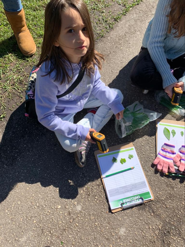 School Program Seedlings 