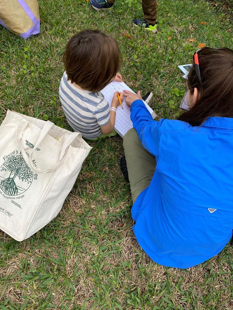 School Program Seedlings 