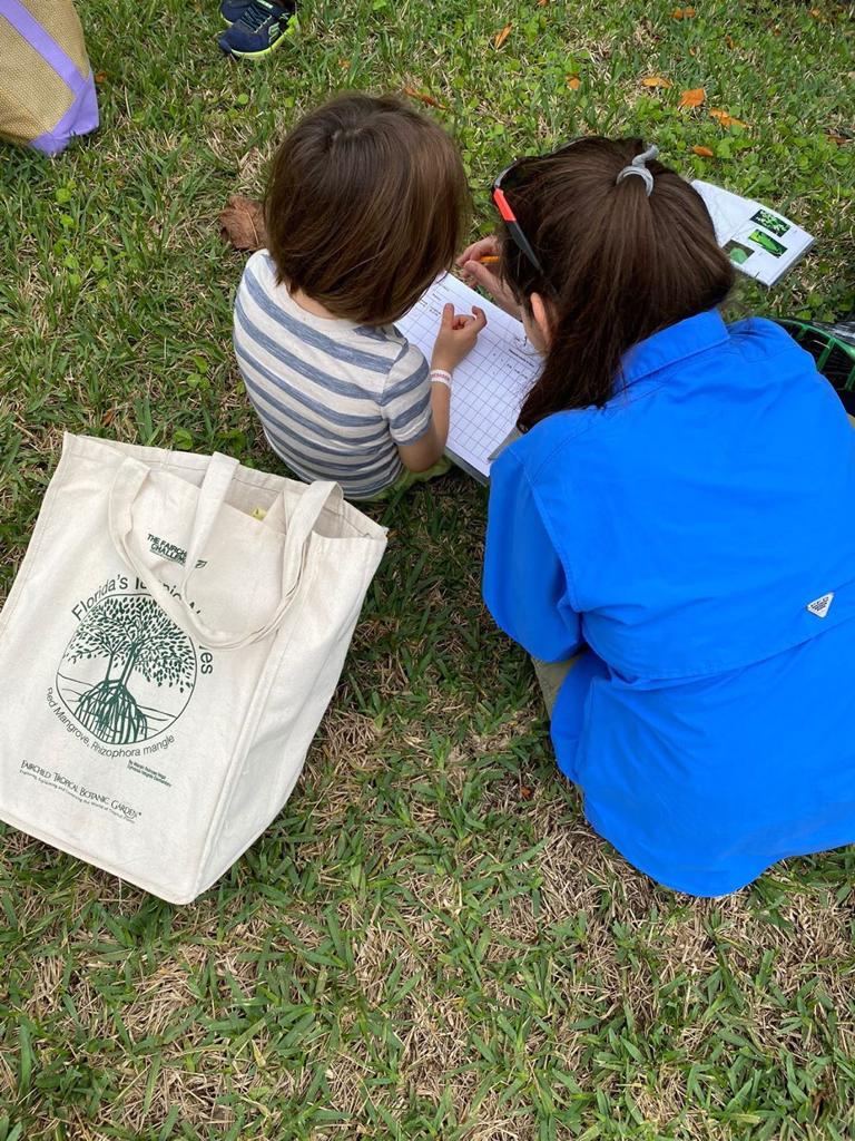 School Program Seedlings 