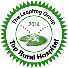 Leapfrog logo